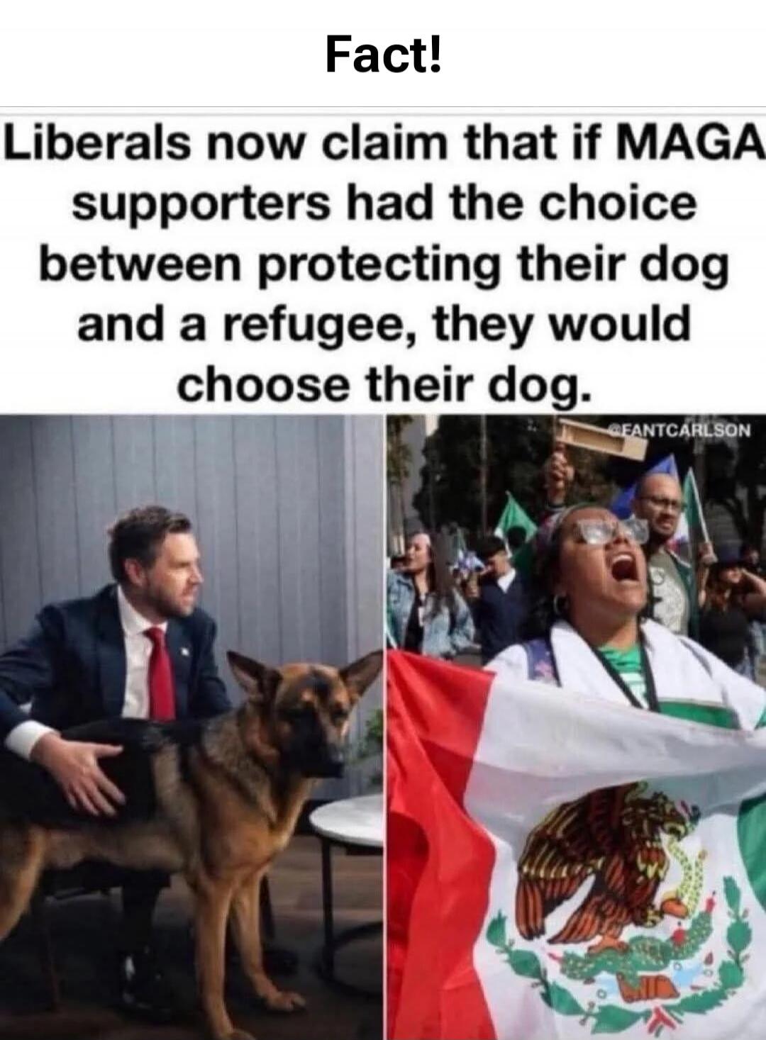 Fact! Liberals now claim that if MAGA supporters had the choice between protecting their dog and a refugee, they would choose their dog.