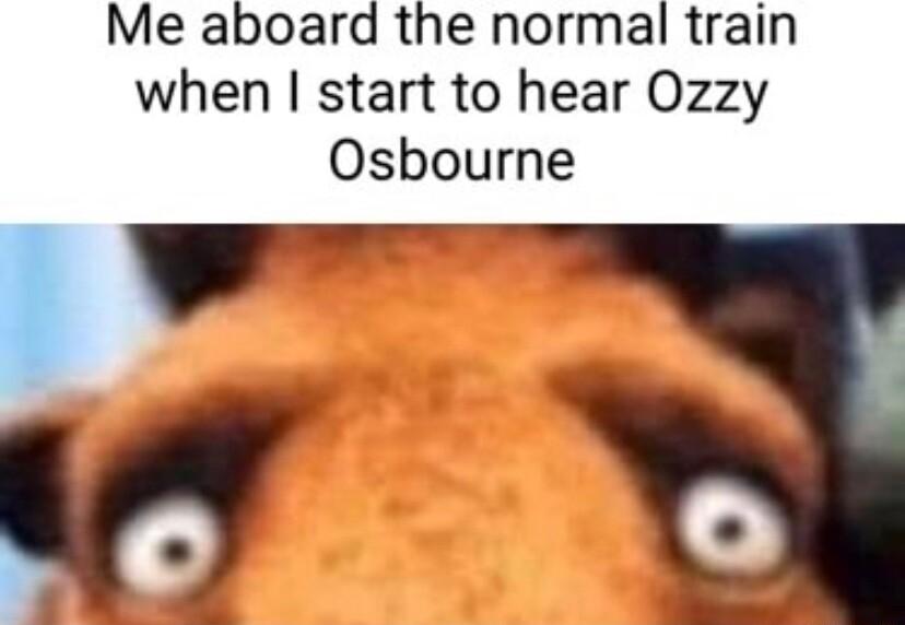 Me aboard the normal train when start to hear Ozzy Osbourne