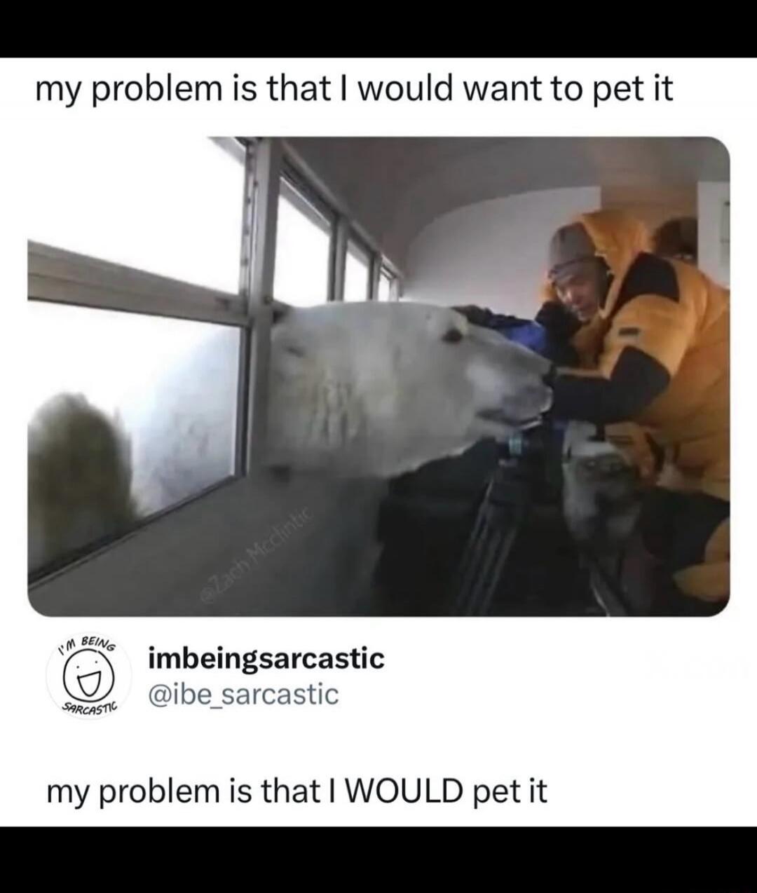 my problem is that I would want to pet it imbeingsarcastic @ibe_sarcastic my problem is that I WOULD pet it