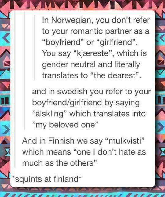In Norwegian you dont refer to your romantic partner as a boyfriend or girlfriend You say kjeereste which is gender neutral and literally translates to the dearest and in swedish you refer to your boyfriendgirlfriend by saying alskling which translates into my beloved one And in Finnish we say mulkvisti which means one dont hate as much as the others squints at finland