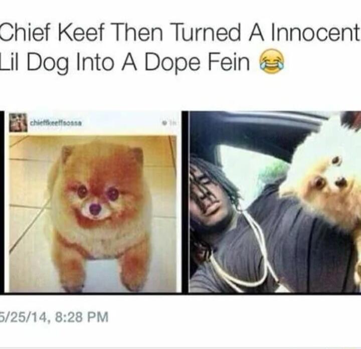 Chief Keef Then Turned A Innocent Lil Dog Into A Dope Fein