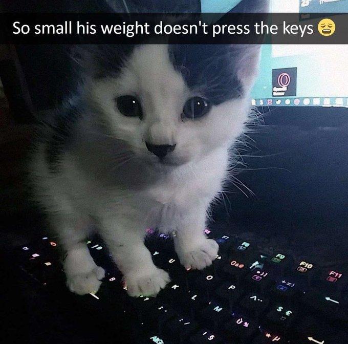 W ST So small his weight doesnt press the keys