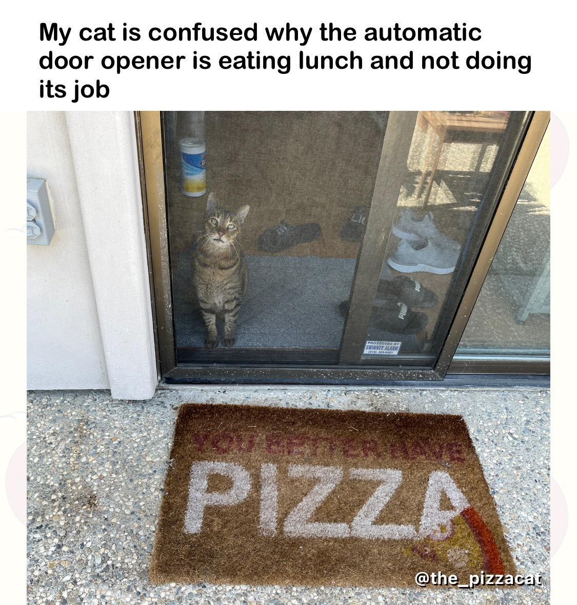 My cat is confused why the automatic door opener is eating lunch and not doing its job
