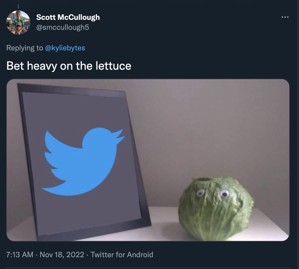 Scott McCullough smecullought Replying to kyiiebyt Bet heavy on the lettuce 713 AM Nov 18 2022 Twitter for Android 428 Retweets 22 Quote Tweets 3717 Likes