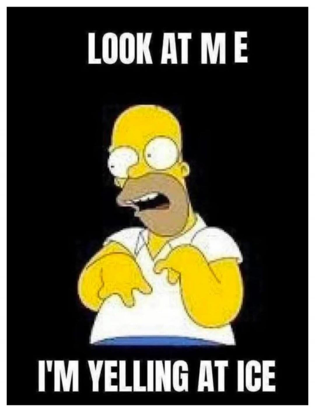 LOOK AT ME I'M YELLING AT ICE