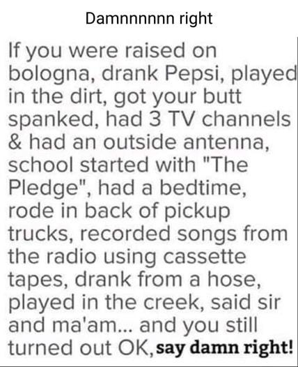 Damnnnnnn right If you were raised on bologna drank Pepsi played in the dirt got your butt spanked had 3 TV channels had an outside antenna school started with The Pledge had a bedtime rode in back of pickup trucks recorded songs from the radio using cassette tapes drank from a hose played in the creek said sir and maam and you still turned out OK say damn right