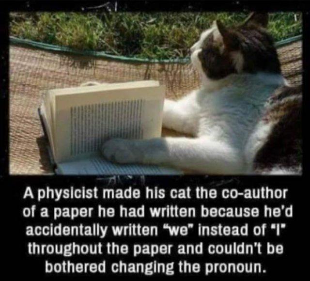 LY EHE R EG R EEER G R T of a paper he had written because hed EH G EDTE AT G R Tl CEG R QICTEL IR UERETETgE R TRETE bothered changing the pronoun