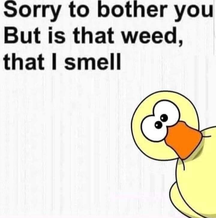 Sorry to bother you But is that weed, that I smell