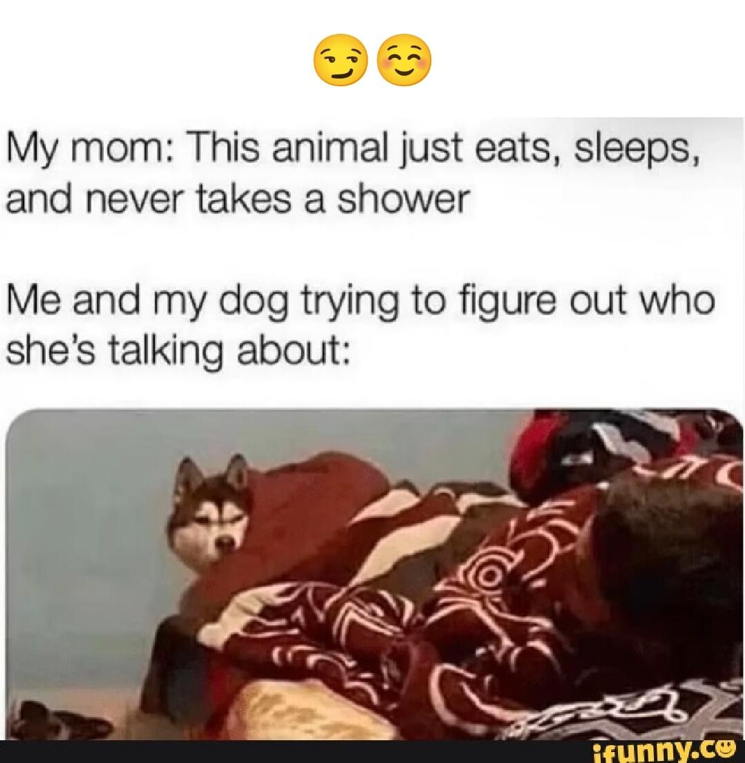 My mom This animal just eats sleeps and never takes a shower Me and my dog trying to figure out who shes talking about