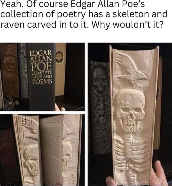 gar Allan Poes collectlon of poetry has a skeleton and raven carved in to it Why wouldnt it