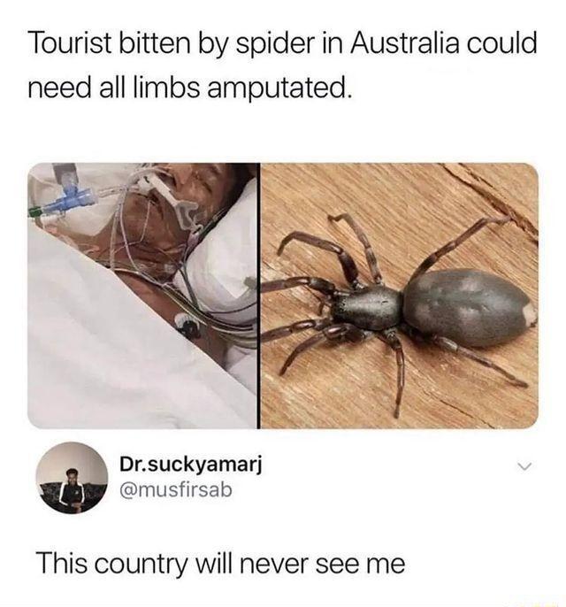 Tourist bitten by spider in Australia could need all limbs amputated Drsuckyamarj musfirsab This country will never see me