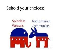 Behold your choices: Spineless Weasels Authoritarian Communists