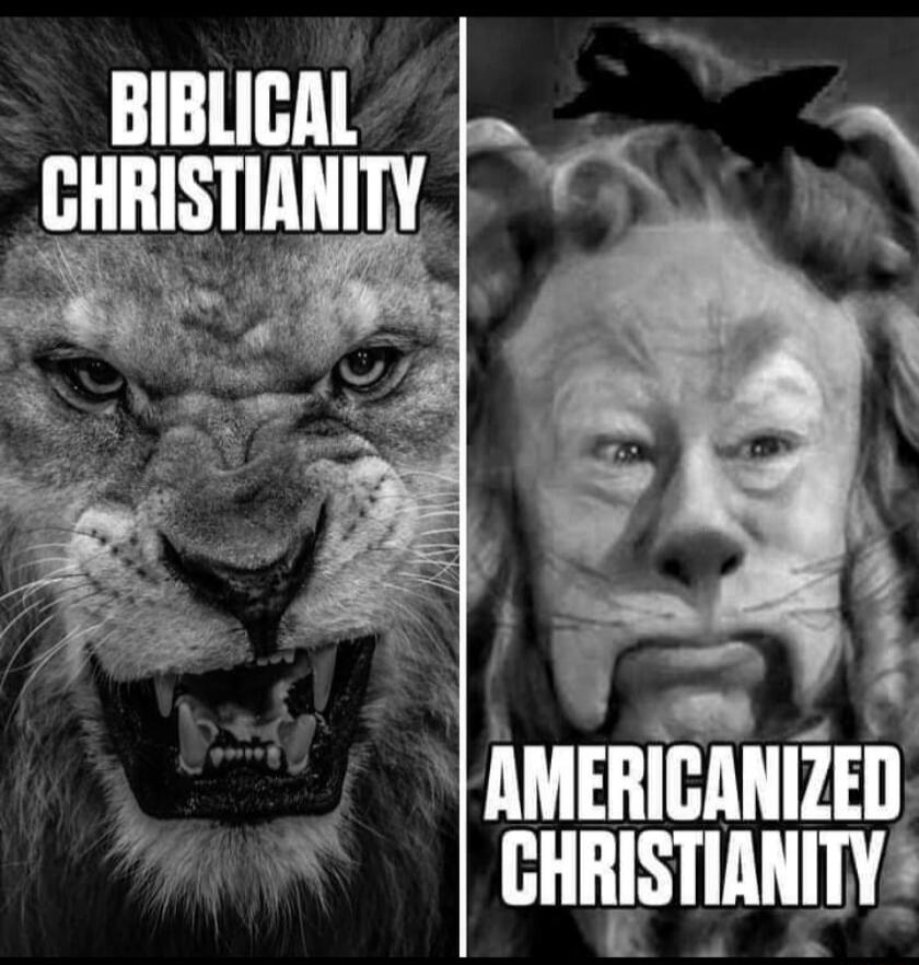 BIBLICAL CHRISTIANITY AMERICANIZED CHRISTIANITY