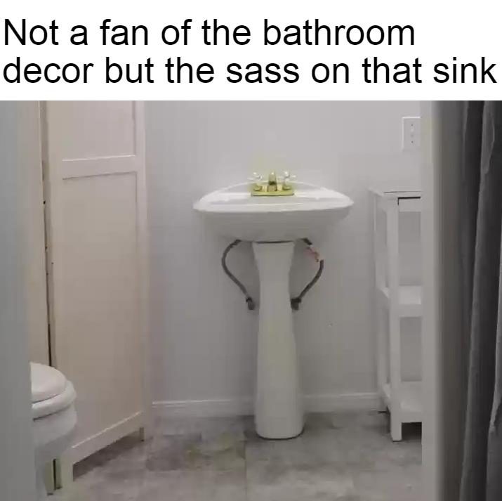 Not a fan of the bathroom decor but the sass on that sink