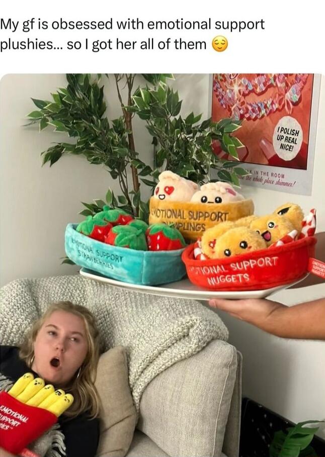 My gf is obsessed with emotional support plushies so got her all of them
