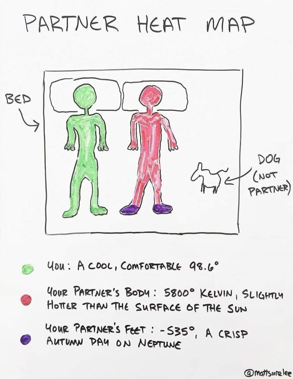 PARTNER HEAT MAP BED DOG (NOT PARTNER) YOU: A COOL, COMFORTABLE 98.6° YOUR PARTNER'S BODY: 5800° KELVIN, SLIGHTLY HOTTER THAN THE SURFACE OF THE SUN YOUR PARTNER'S FEET: -535°, A CRISP AUTUMN DAY ON NEPTUNE