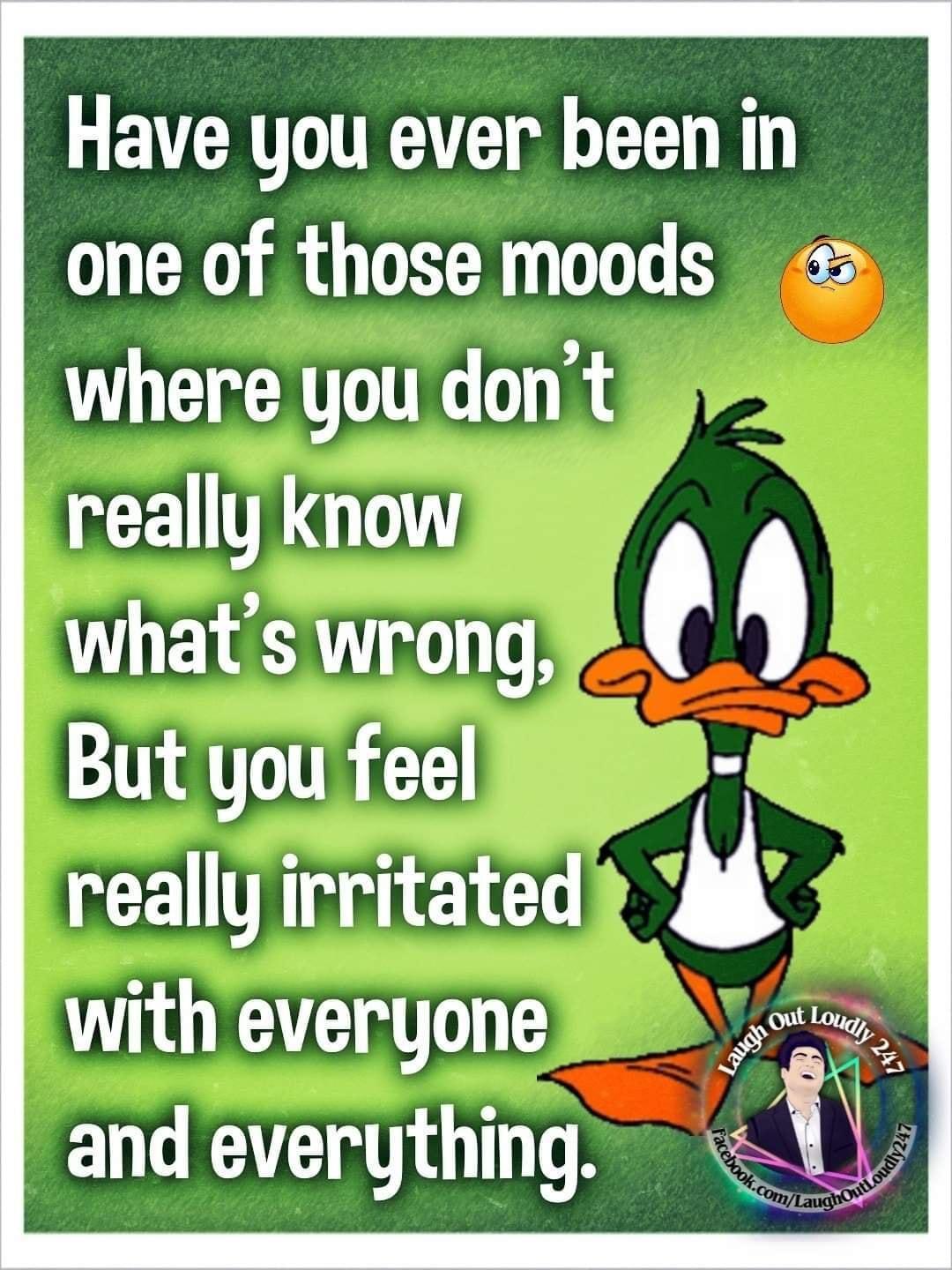 Have you ever been in one of those moods where you dont RN TGLINY whats wrong 0 But you feel CELTER LG TETIRIDNE and everything