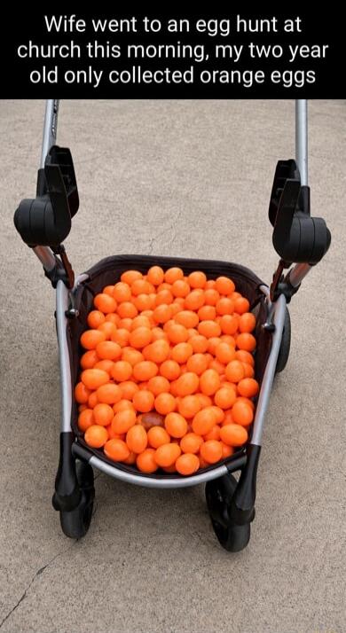 Wife went to an egg hunt at church this morning, my two year old only collected orange eggs