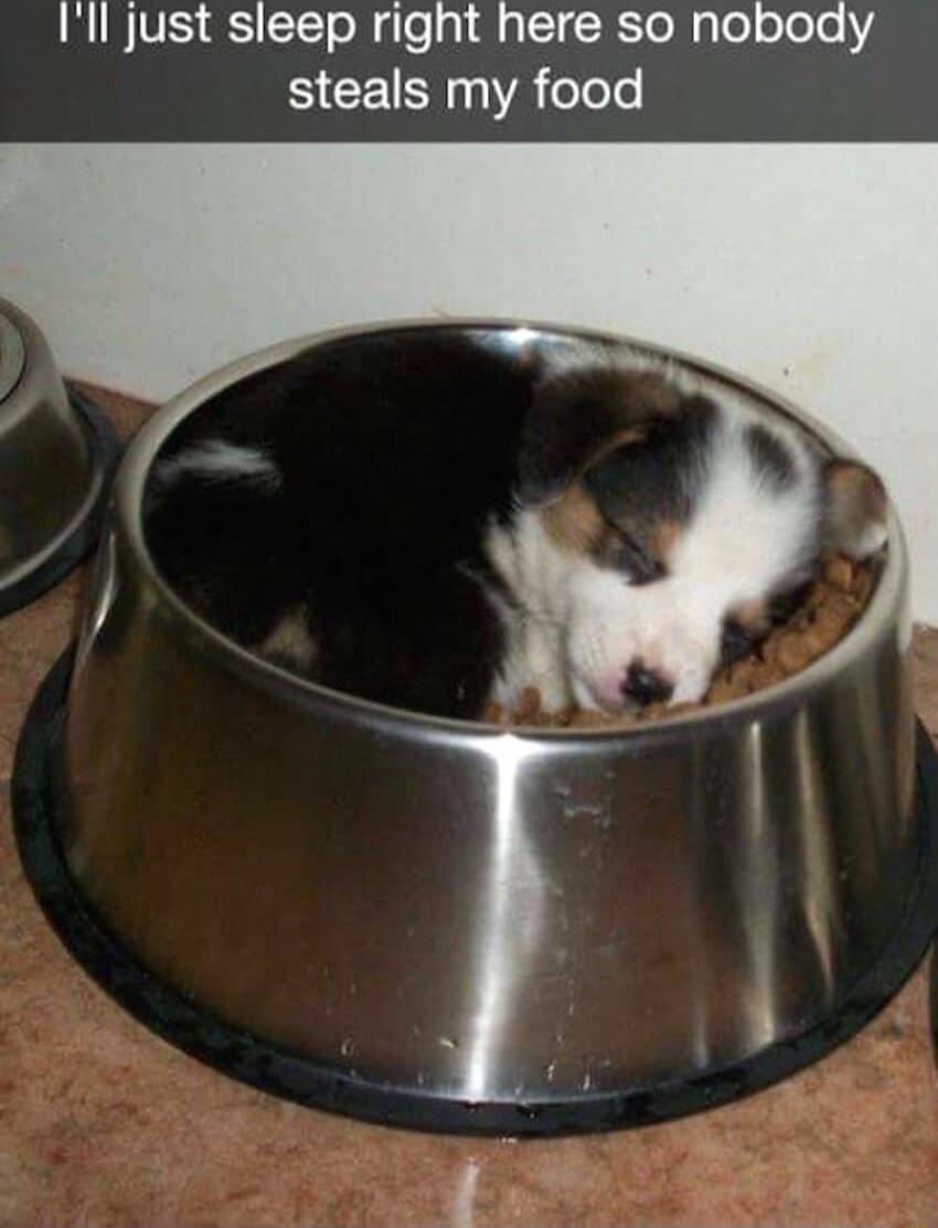 Ill just sleep right here so nobody SICEN R elele