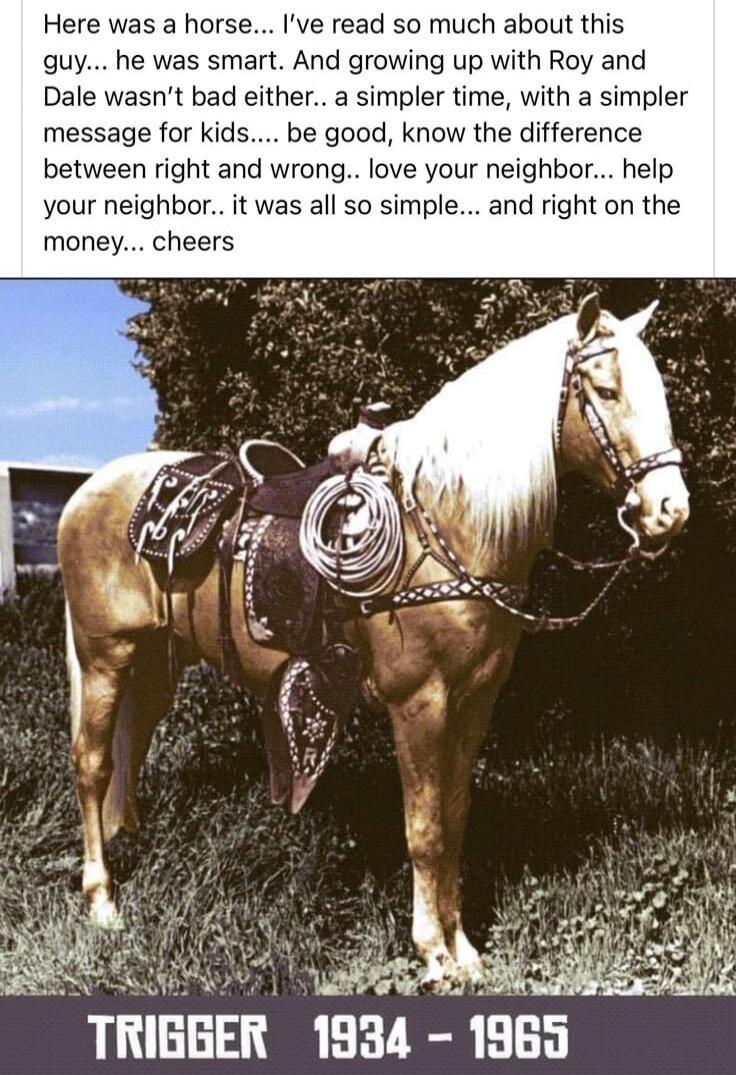 Here was a horse... I've read so much about this guy... he was smart. And growing up with Roy and Dale wasn't bad either... a simpler time, with a simpler message for kids.... be good, know the difference between right and wrong.. love your neighbor... help your neighbor.. it was all so simple... and right on the money... cheers

TRIGGER 1934 - 196