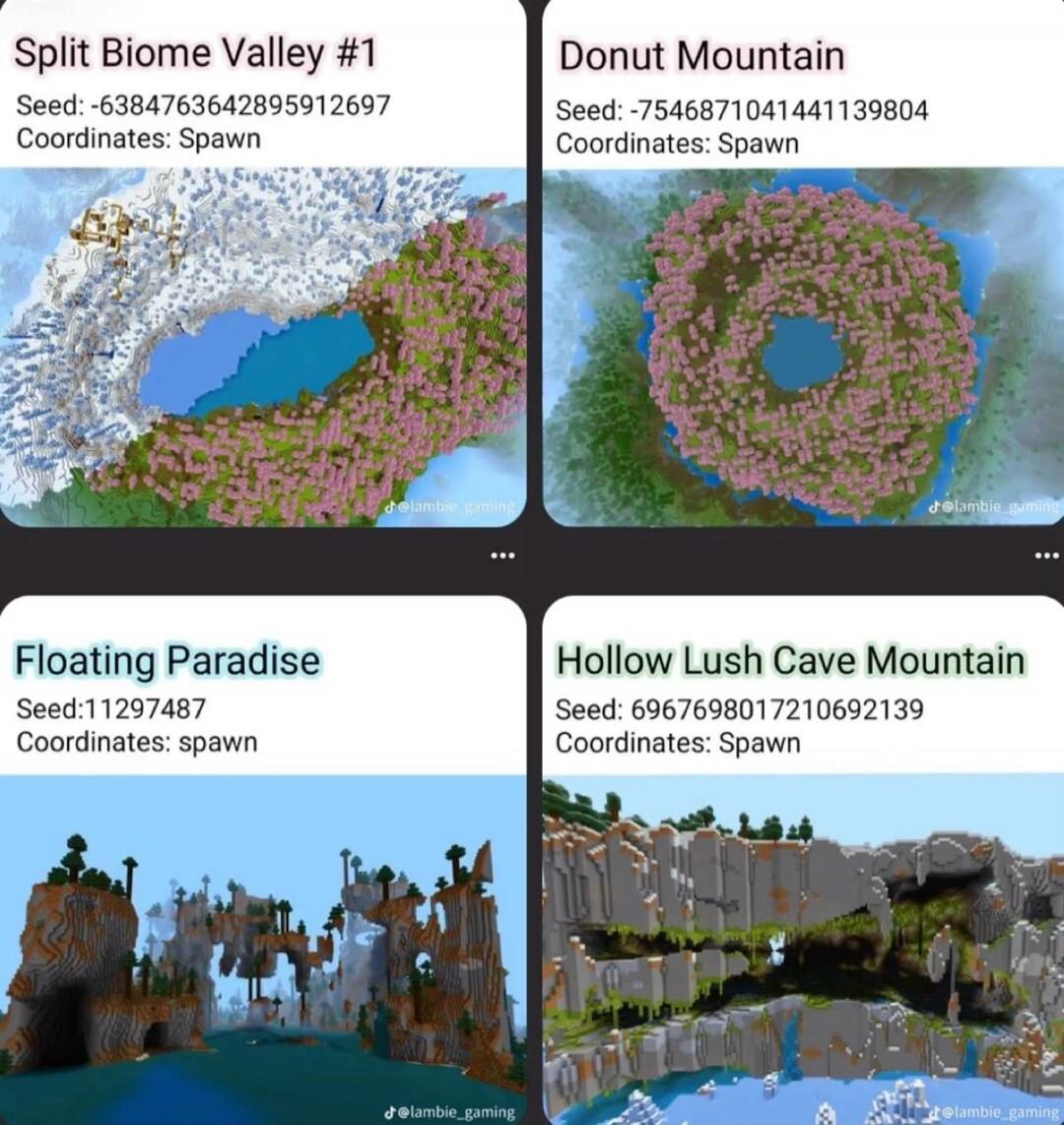 Split Biome Valley #1 Seed: -6384763642895912697 Coordinates: Spawn Donut Mountain Seed: -7546871041441139804 Coordinates: Spawn Floating Paradise Seed: 11297487 Coordinates: spawn Hollow Lush Cave Mountain Seed: 6967698017210692139 Coordinates: Spawn @lambie_gaming