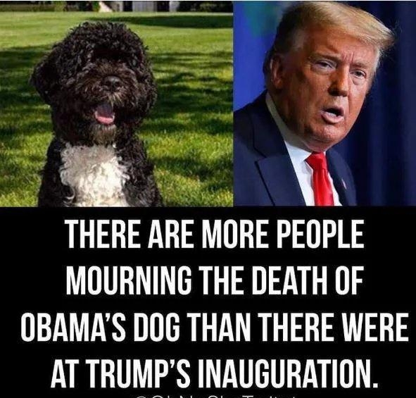 THERE ARE MORE PEOPLE MOURNING THE DEATH OF OBAMAS DOG THAN THERE WERE AT TRUMPS INAUGURATION