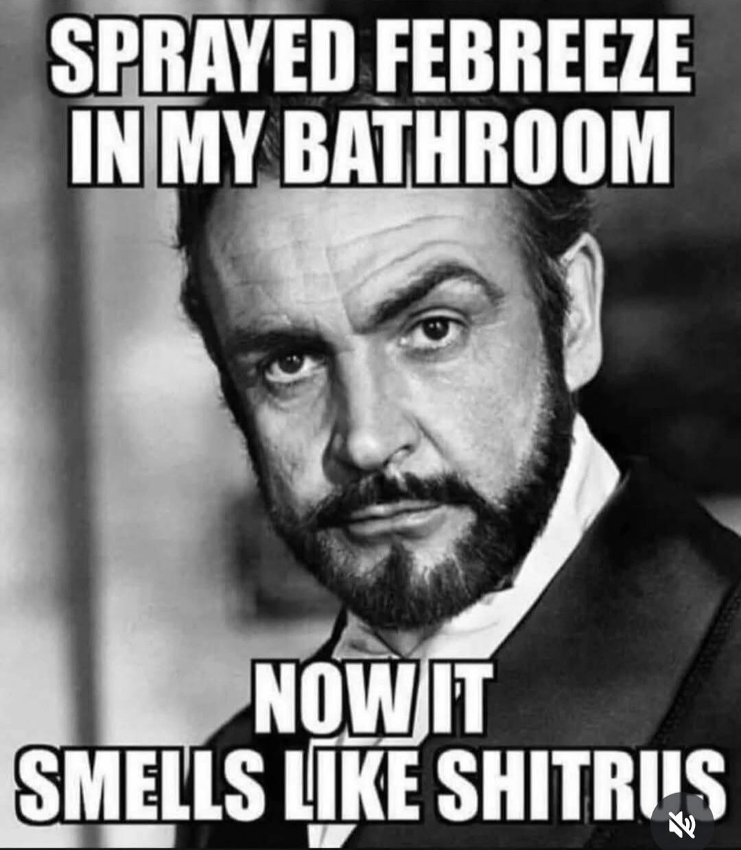 SPRAYED FEBREEZE IN MY BATHROOM NOW IT SMELLS LIKE SHITRUS