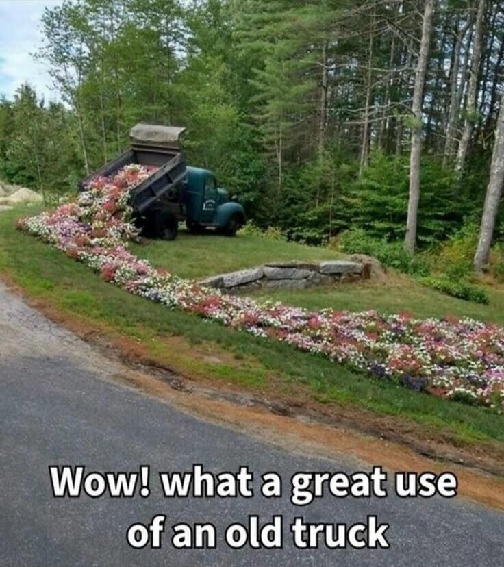 Wow! what a great use of an old truck
