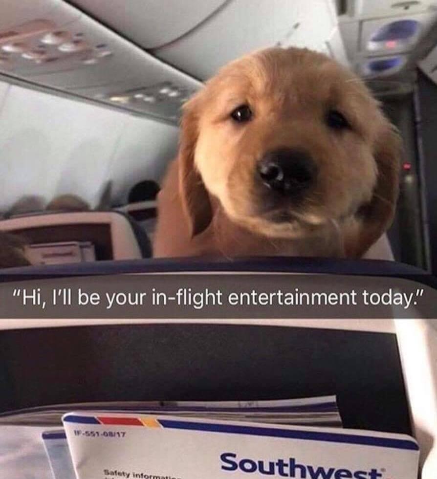 Hi Ill be your in flight entertainment today