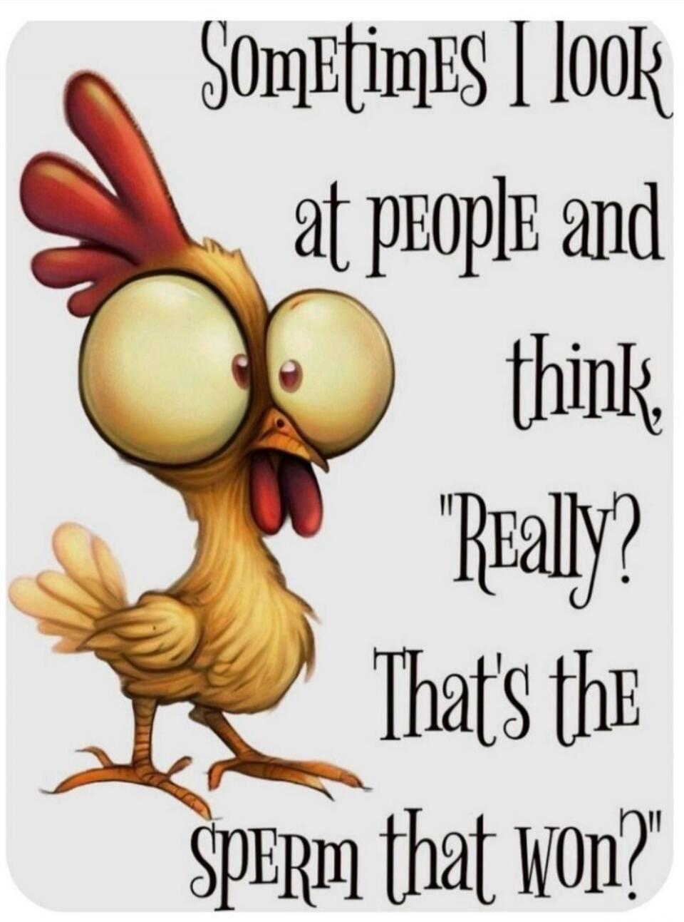 Sometimes I look at people and think, 
