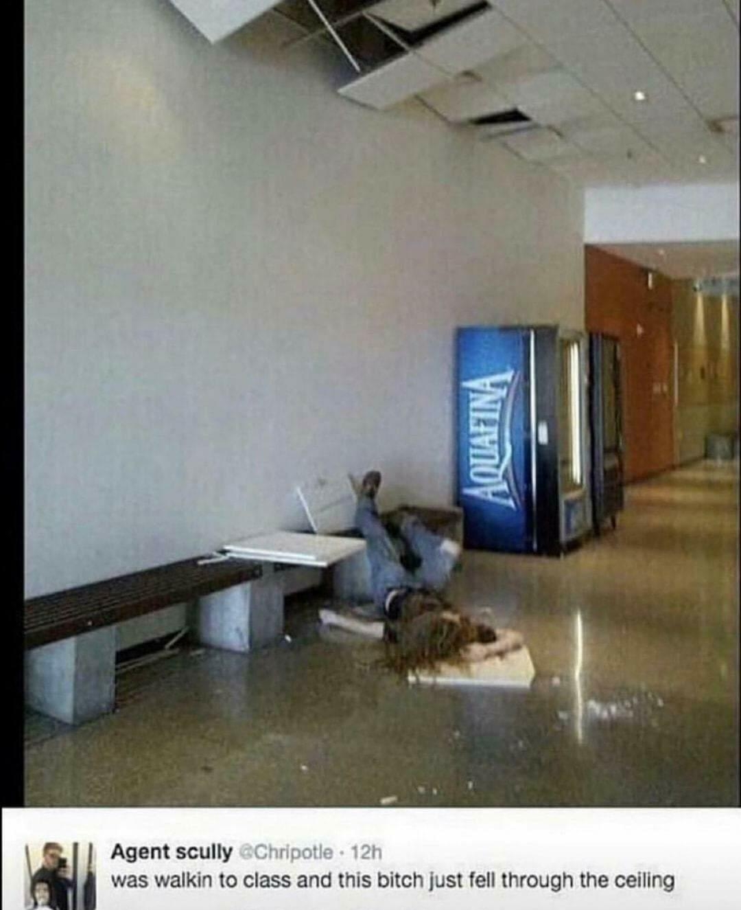 1 Agentscully was walkin to class and this bitch just fell through the ceiling