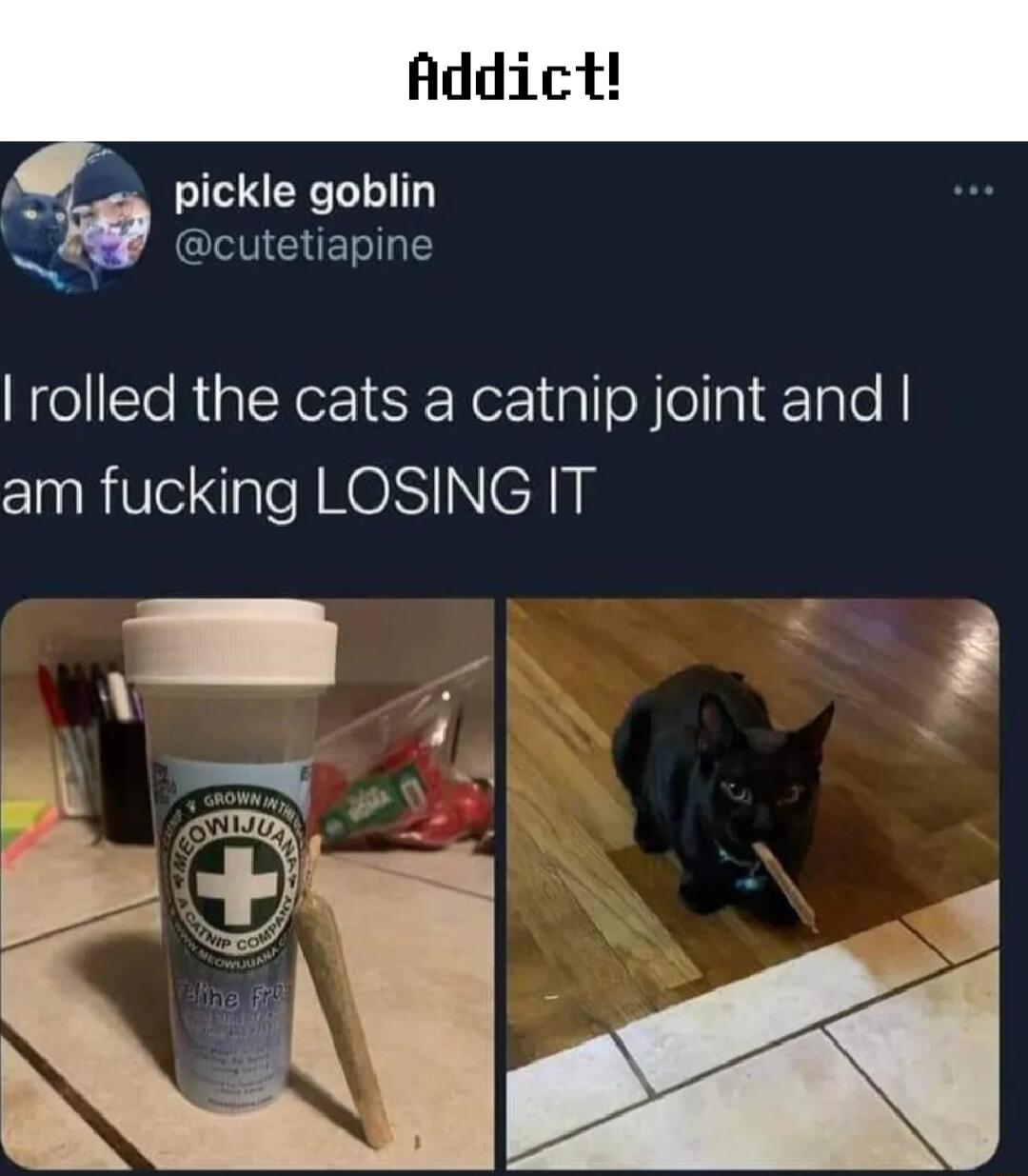 pickle goblin N CHETI rolled the cats a catnip joint and am fucking LOSING IT