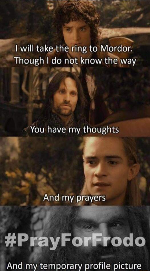 g w gl R LR ENR ol Vo e oA Though I61 not know theyvay y i h You have my thoughts 5 ek 8 Ard WA IEES P VAR Frodo lAnd my temporary profile picture