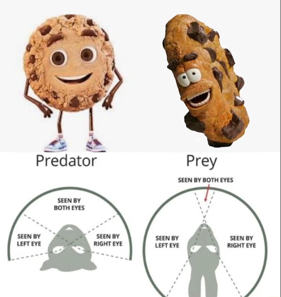Predator Prey seeN Y BOTH EYES