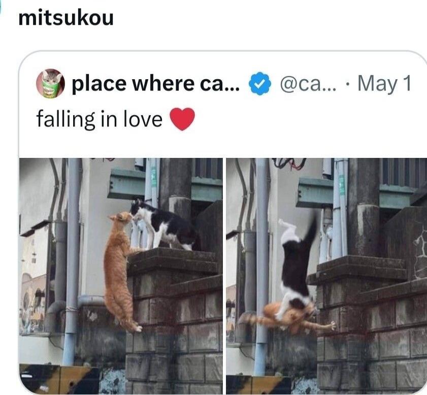 mitsukou 3 place where ca ca May 1 falling in love Ly