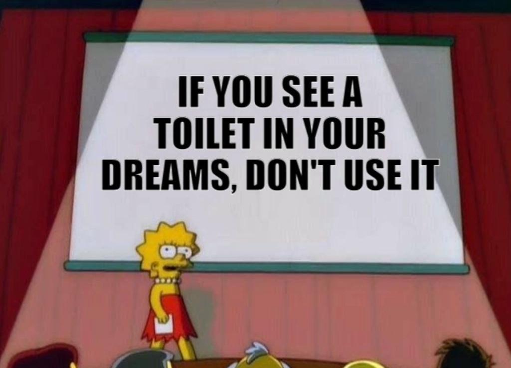 IFYOUSEER TOILET INVOUR DREAMS DONT USEIT