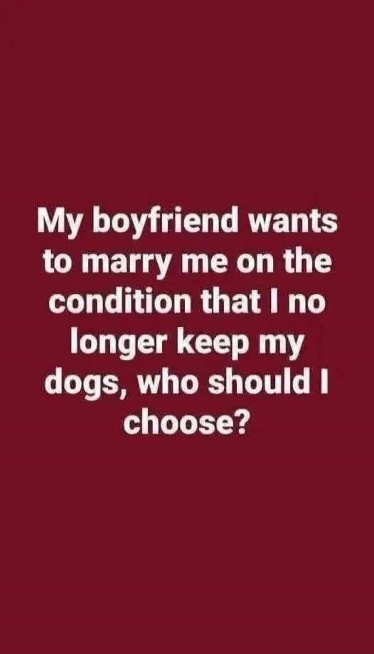 My boyfriend wants to marry me on the condition that I no longer keep my dogs, who should I choose?