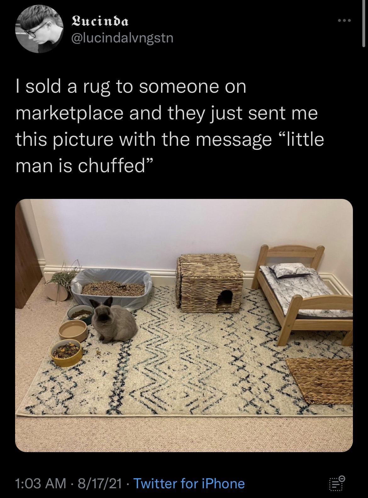 e Lucinda lucindalvngstn sold a rug to someone on MEICGI IR le RUa ISRV TTa g this picture with the message little TR elaVlaiTol 103 AM 81721 Twitter for iPhone 8