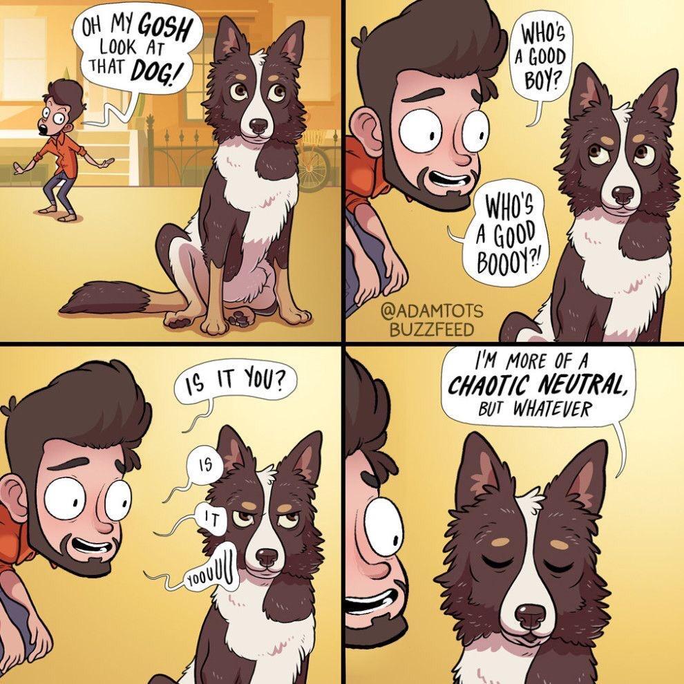 ADAMTOTS BUZZFEED M MORE 0F A CHAOTIC NEUTRAL BT WHATEVER