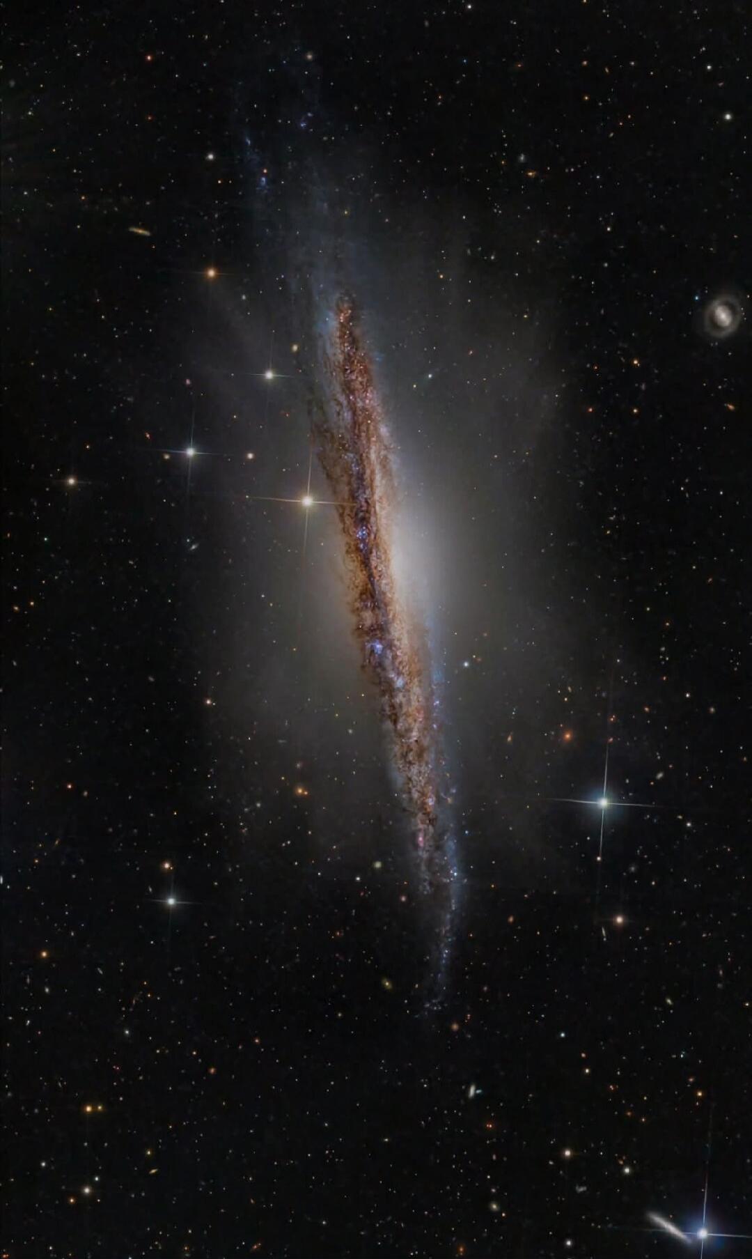 Session ID: 1025799.