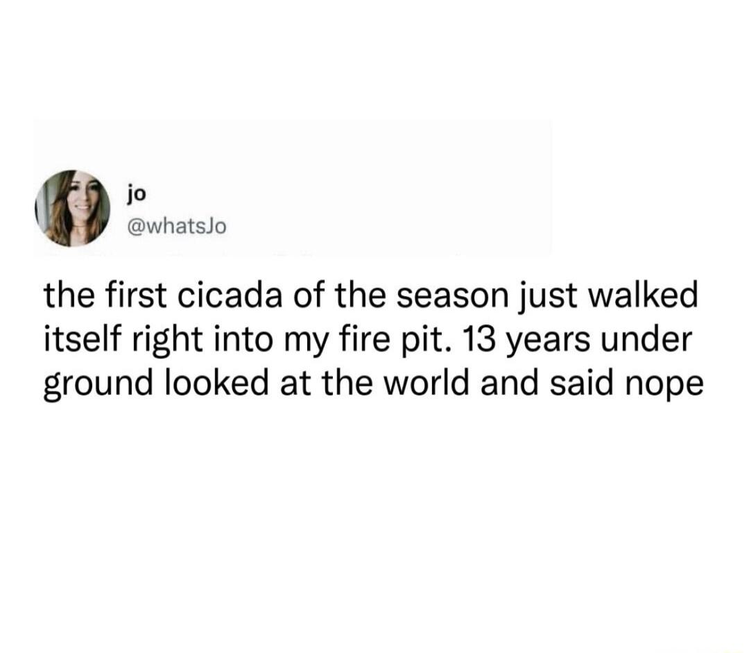 the first cicada of the season just walked itself right into my fire pit. 13 years under ground looked at the world and said nope