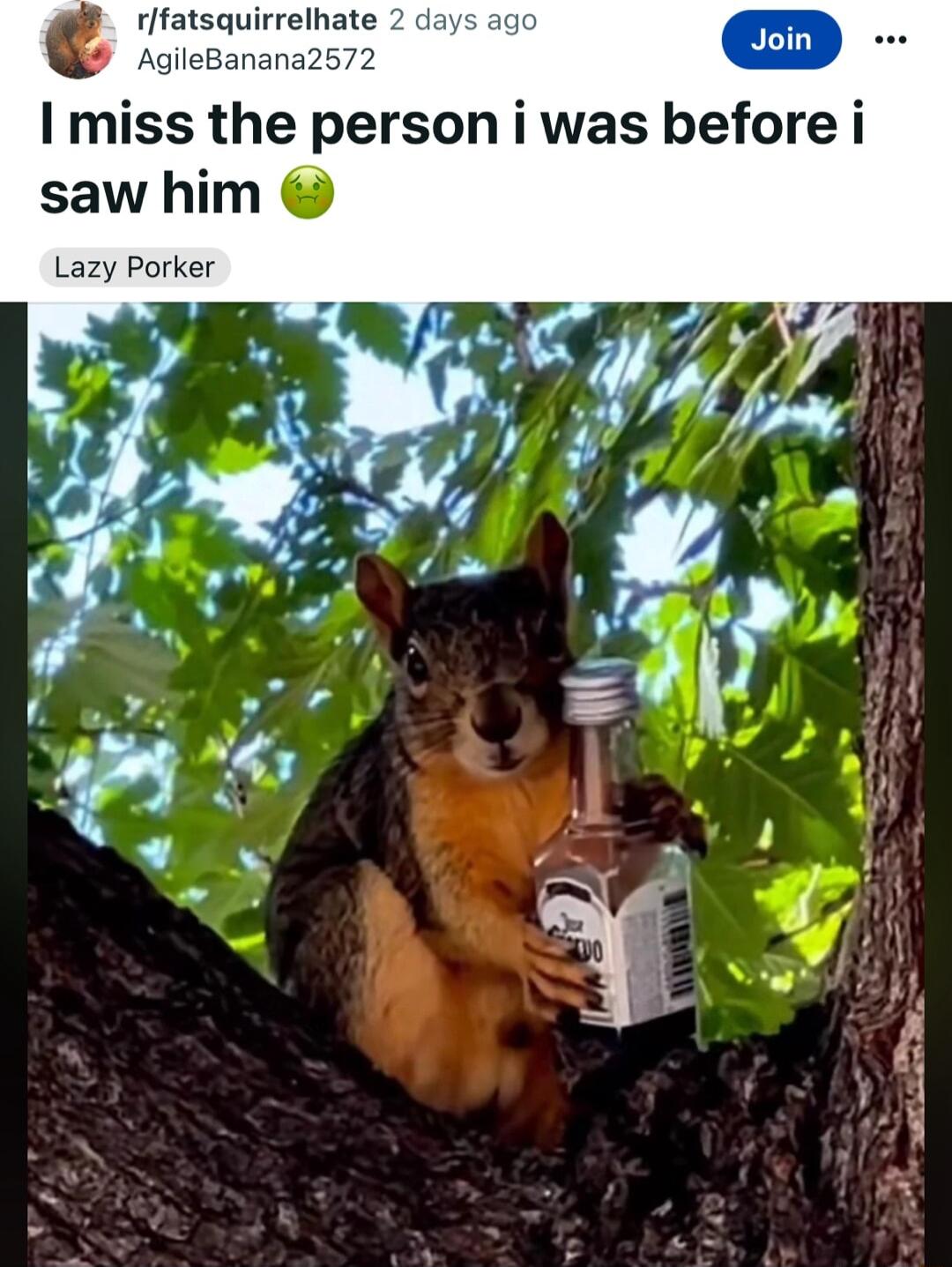 rfatsquirrelhate 2 d C I miss the person i was before i saw him Lazy Porker