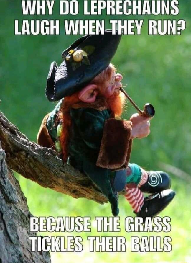 WHY DO LEPREGHAUNS BULL R R T3 R RS
