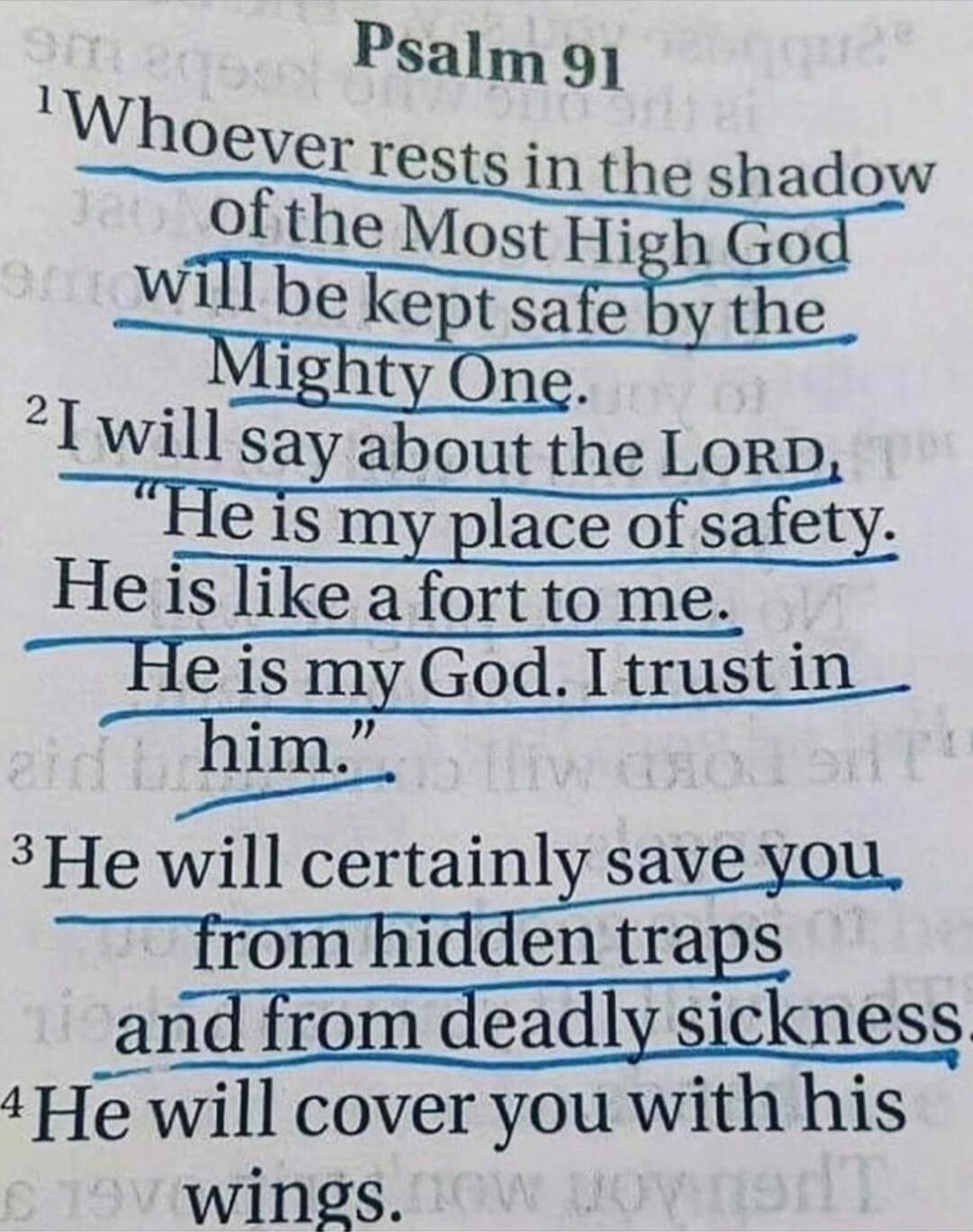 Psalm 91

Whoever rests in the shadow of the Most High God will be kept safe by the Mighty One.

I will say about the LORD, “He is my place of safety. He is like a fort to me. He is my God. I trust in him.”

He will certainly save you from hidden traps and from deadly sickness.

He will cover you with his wings.