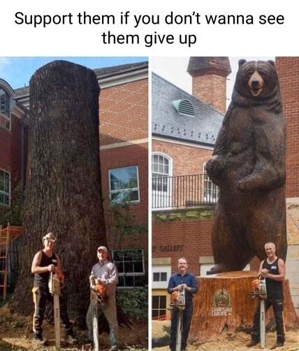 Support them if you dont wanna see them give up