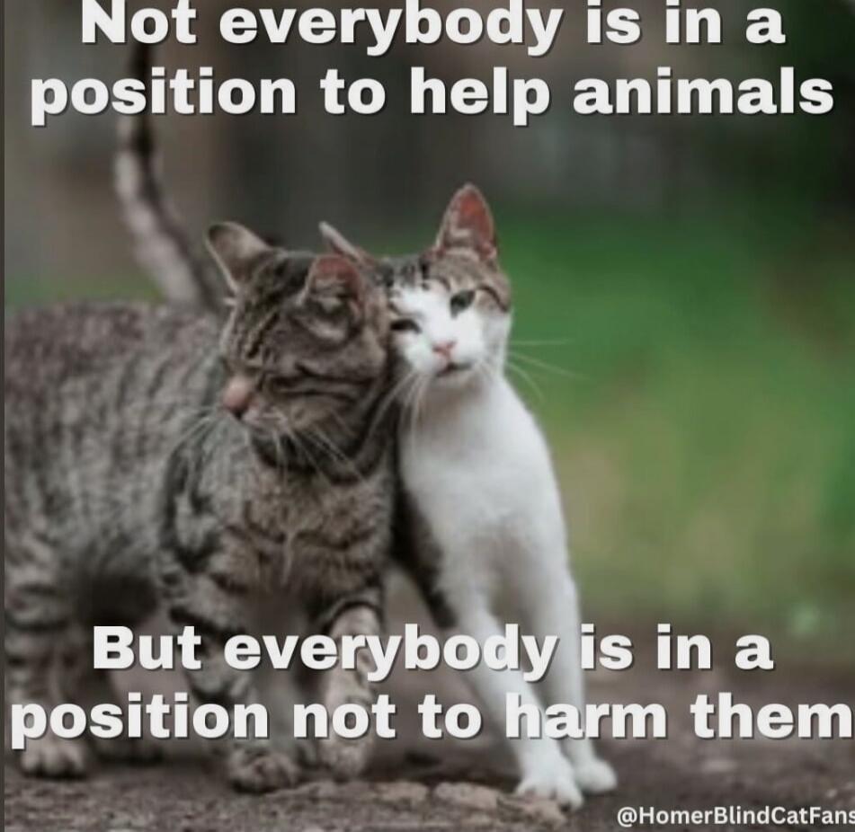 Not everybody is in a position to help animals
But everybody is in a position not to harm them