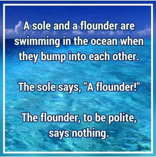 CIET e T T T T swimming in the oceaniwhen theybumpintoleach other Thelsole SEVR Aflounder Thejflounder to be polite saysinothing