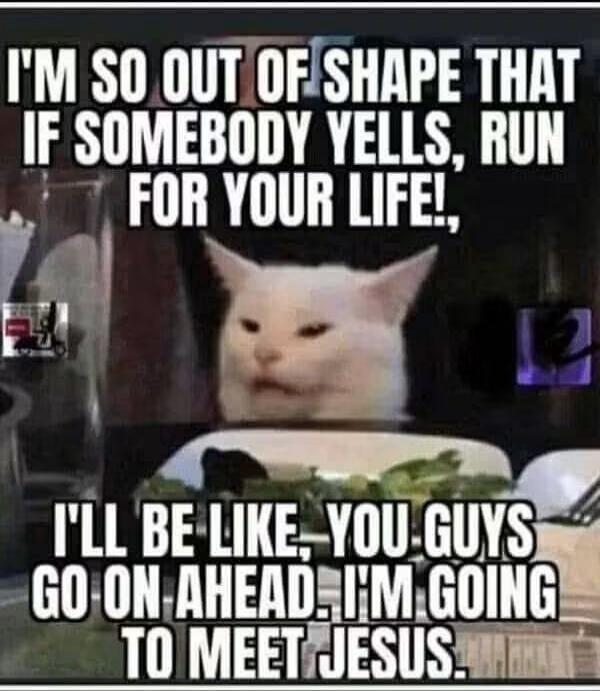I'M SO OUT OF SHAPE THAT IF SOMEBODY YELLS, RUN FOR YOUR LIFE!, I'LL BE LIKE, YOU GUYS GO ON AHEAD. I'M GOING TO MEET JESUS.