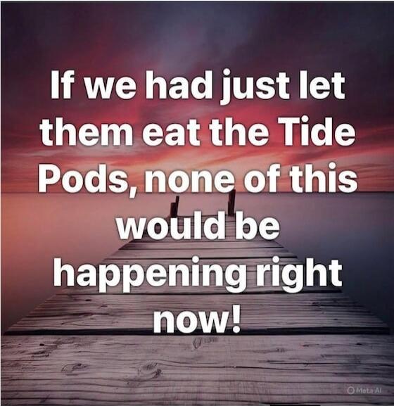 If we had just let them eat the Tide Pods, none of this would be happening right now!