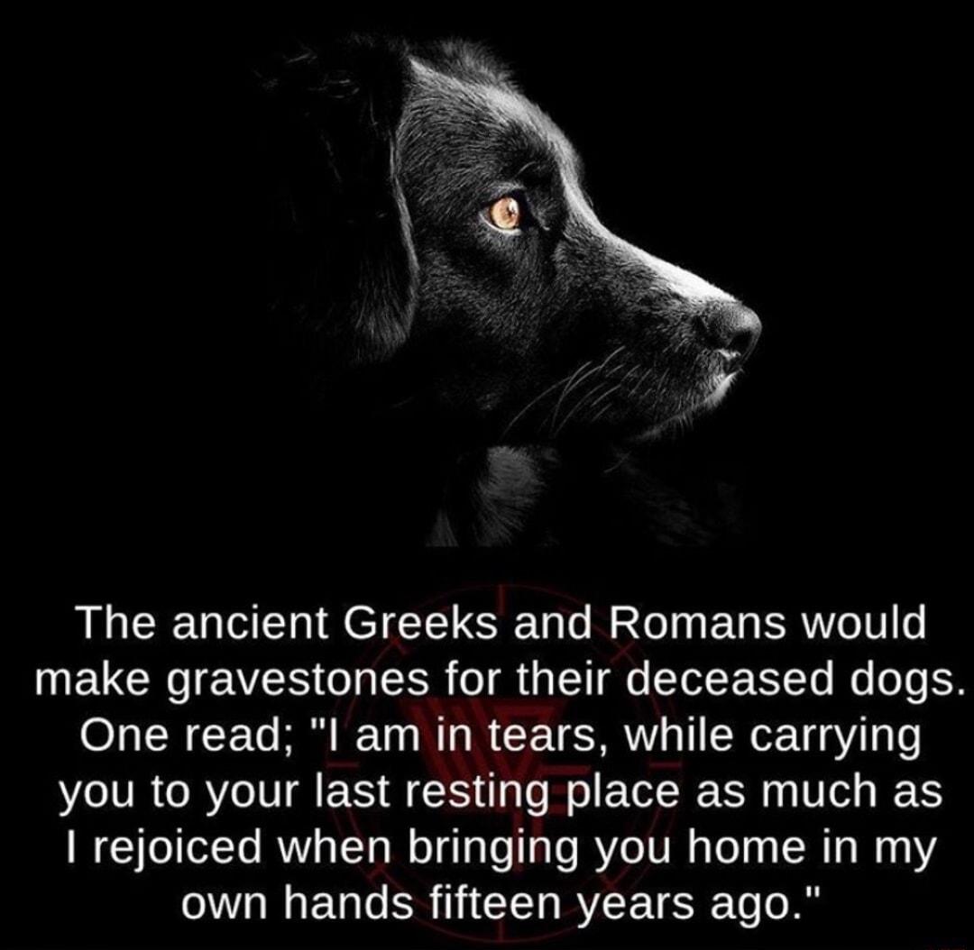 The ancient Greeks and Romans would make gravestones for their deceased dogs One read l am in tears while carrying you to your last resting place as much as rejoiced when bringing you home in my EN R i G RYEE TS To A